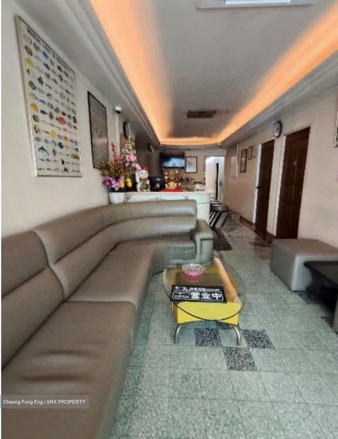 Lorong 20 Geylang (D14), Shop House #579699731
